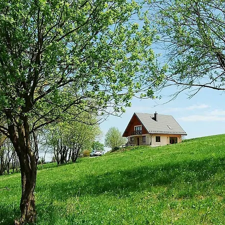 Zieleniec 샬레 두슈니키 즈드로지