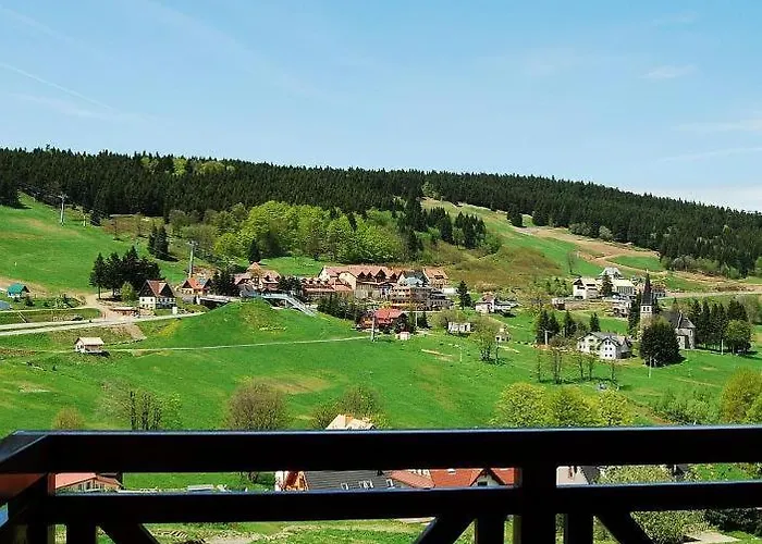 Zieleniec Шале Душники-Здруй