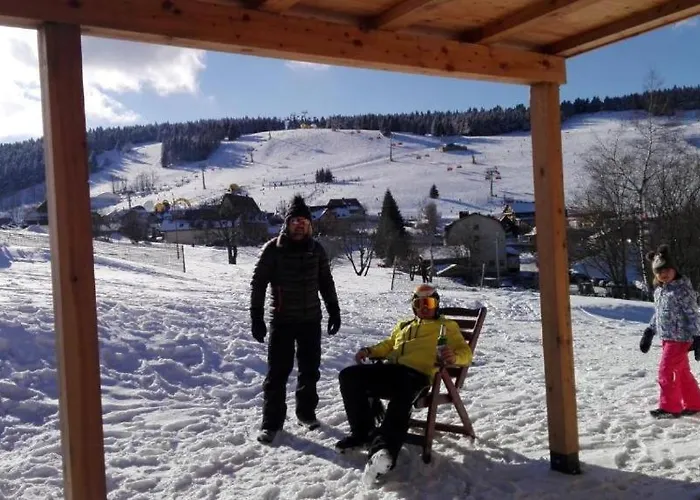 Шале Zieleniec *